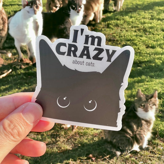 I'm Crazy...About Cats Vinyl Cat Sticker | Cat Parents | Cat Lovers | Cat Gifts